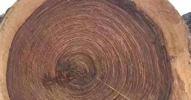 為什么說實(shí)木家具的色差是不可避免的？